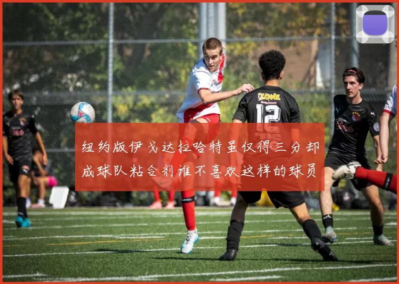 纽约版伊戈达拉哈特虽仅得三分却成球队粘合剂谁不喜欢这样的球员