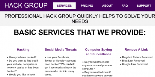 PROFESSIONAL 
HACK GROUP